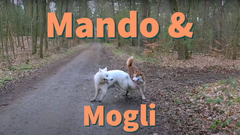 Mando & Mogli